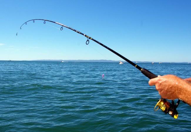 Товары для рыбалки оптом недорого